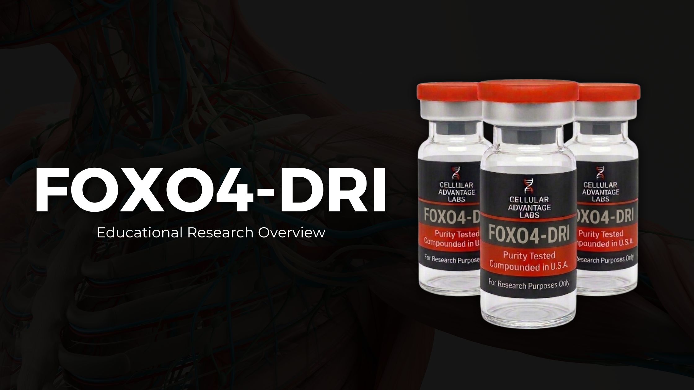 FOXO4-DRI