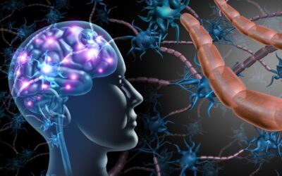 Brain Health and Peptides: Supporting Cognitive Function
