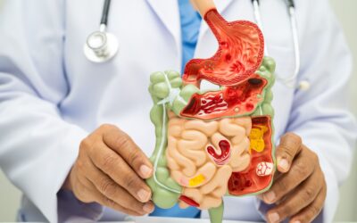 Gut Health and Peptides: Supporting the Microbiome Naturally