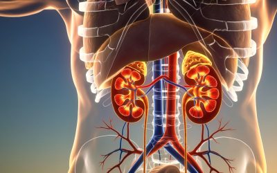 Peptides and Kidney Health