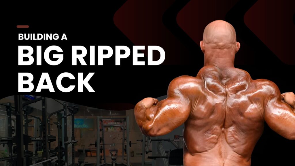 Build a Big, Ripped Back: Best Exercises, Diet & Recovery Tips