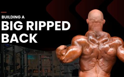 Unleashing the Beast: Building a Big, Ripped Back