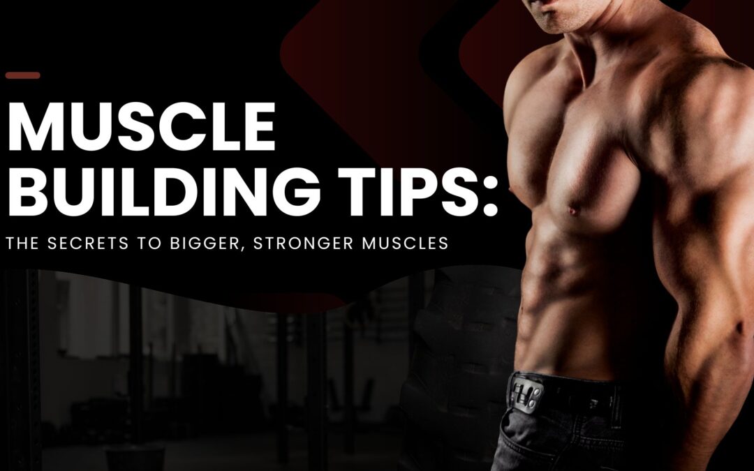 Mastering Muscle Building: Unlocking the Secrets to Success