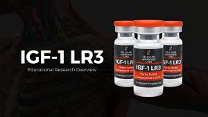 IGF-1 LR3