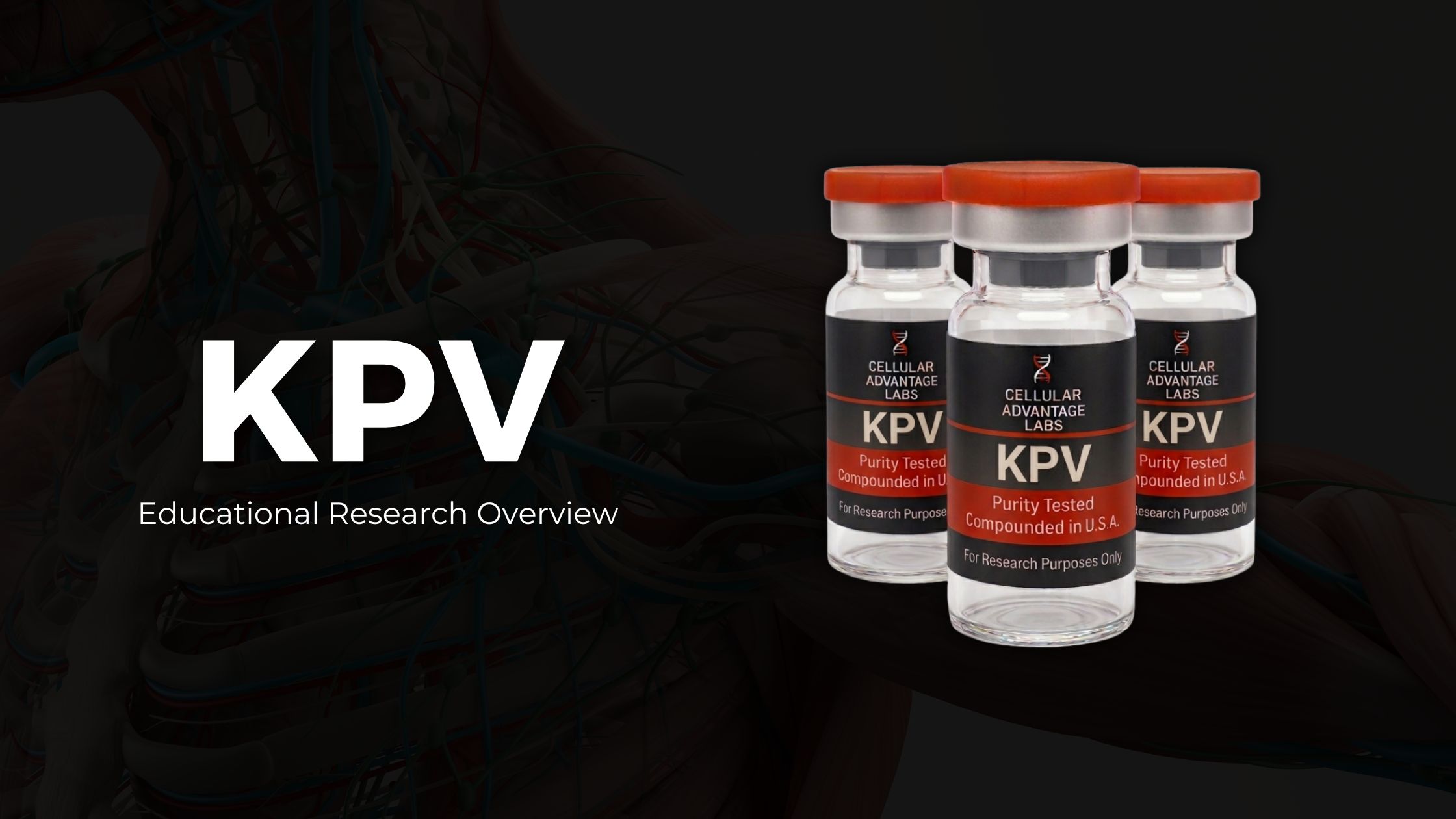 KPV KPV