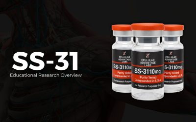 SS-31: Educational Research Overview