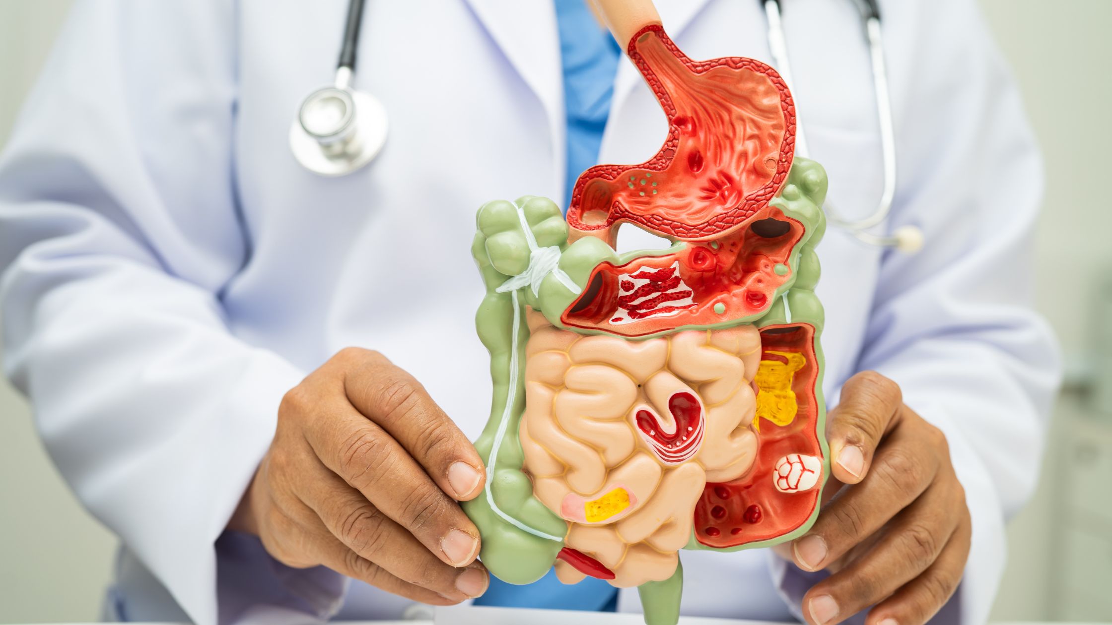 Gut Health and peptides